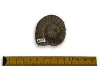 F 02079
<br/>
<br/>
<em></em>